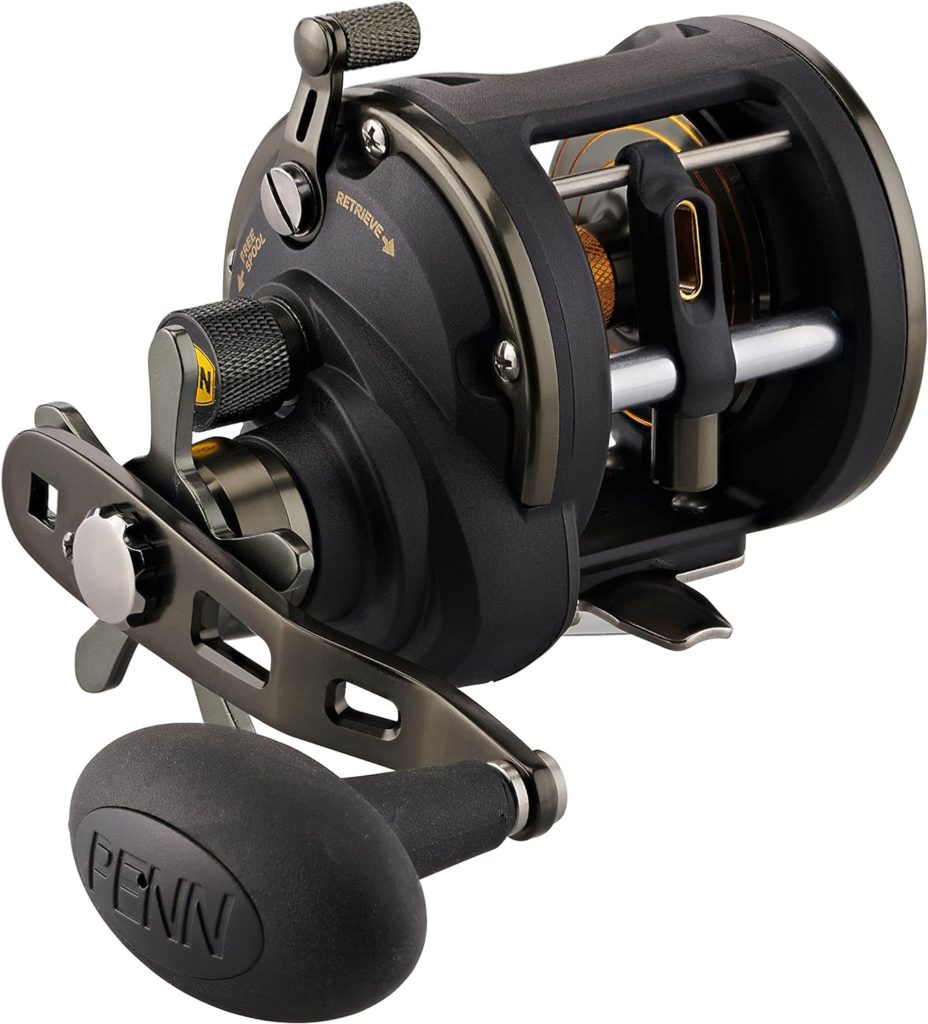 Saltwater Conventional Reels – The Fishing Shop